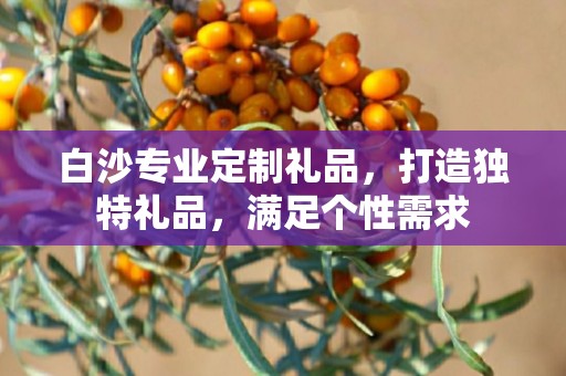 白沙专业定制礼品，打造独特礼品，满足个性需求